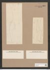 Rhoicosigma mediterraneum Cleve (de-Toni-Nr.: Genus 15, Species 1130) Zeichnungen Sammlung Grunow Nr. 2227 (NHMW-BOT-W0369316)